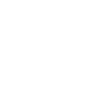 DeltaTrak FlashLink (31010) mini PDF engangsdatalogger