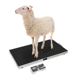 Dyrevekt Kern EOS eksempelbruk