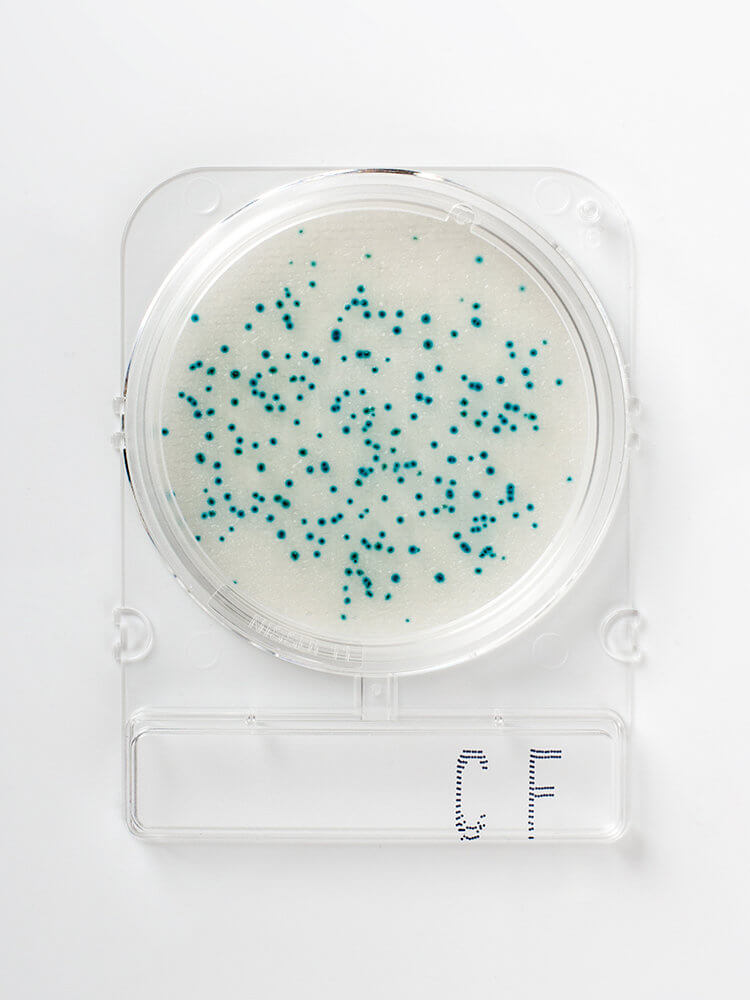Compact Dry CF for måling av koliforme bakterier