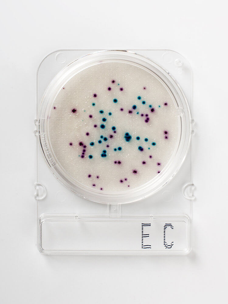 Compact Dry EC for måling av E. coli og koliforme bakterier