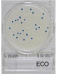 Compact Dry ECO for måling av E. coli