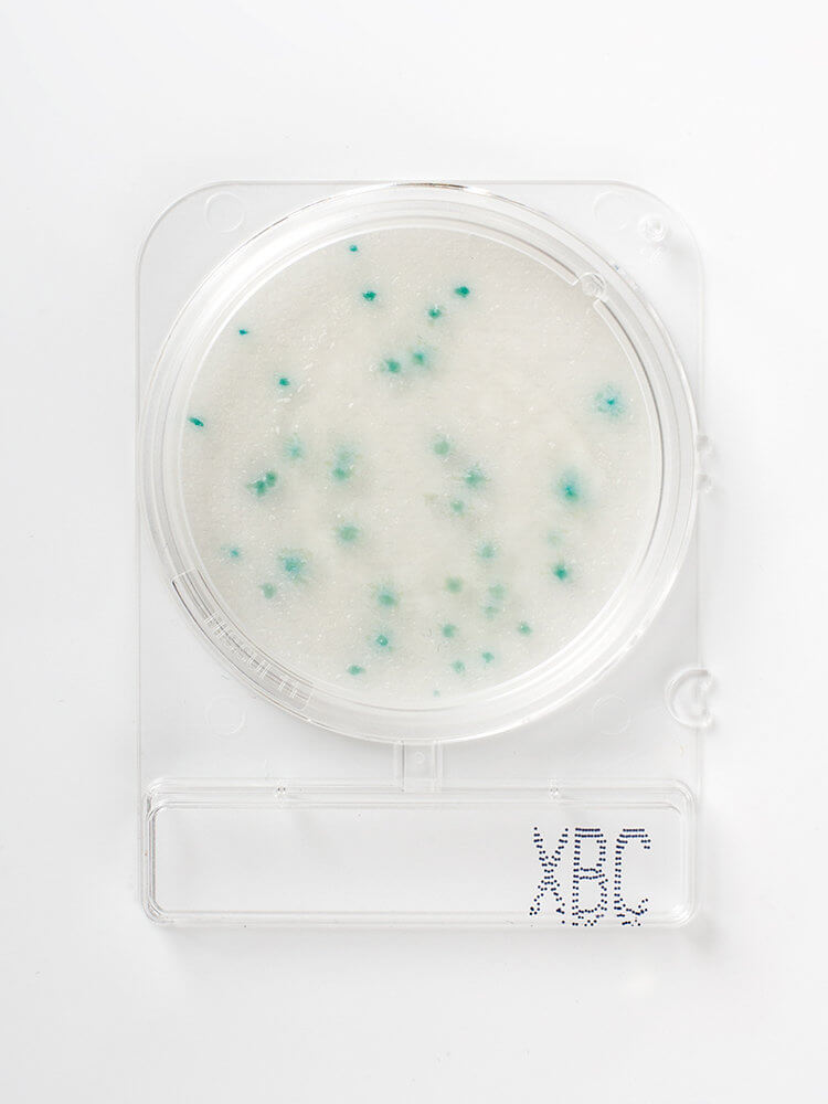 Compact Dry X-BC for måling av bacilus cereus
