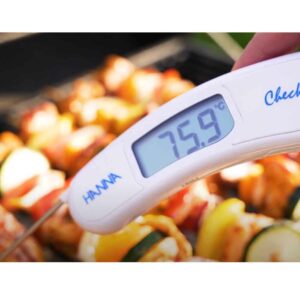 Hanna HI151 digitalt kjøkkentermometer med høy presisjon bbq